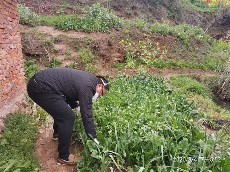 青春戰“疫” 志(zhì)願同行(xíng)