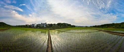 遵循自(zì)然規律 堅持科(kē)學修複