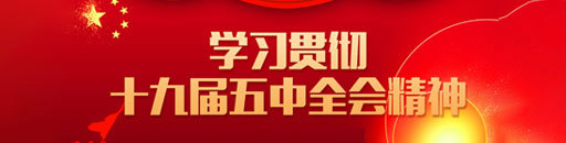 學習(xí)貫徹十九屆五中全會(huì)精神